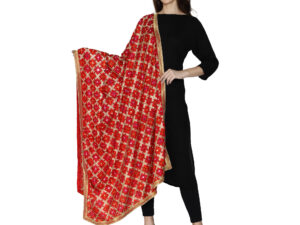 Women's Phulkari Dupatta with Mirror  Work