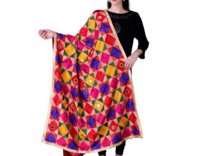 Multicolor Women's Phulkari Dupatta